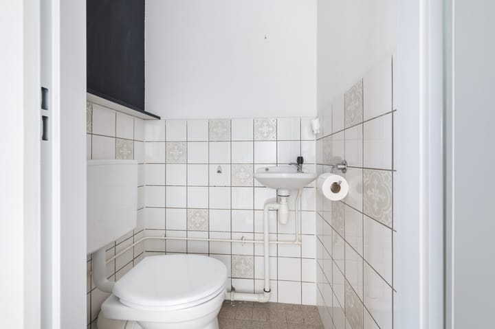 Foto 10 van Antilopespoor 412