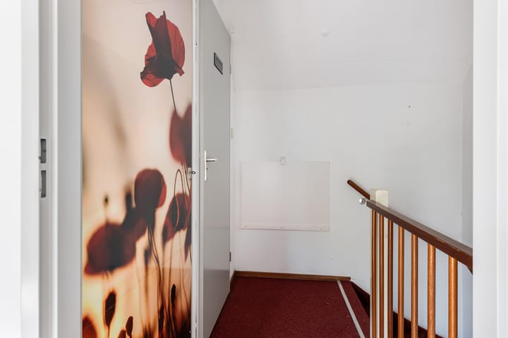 Foto 12 van Antilopespoor 412