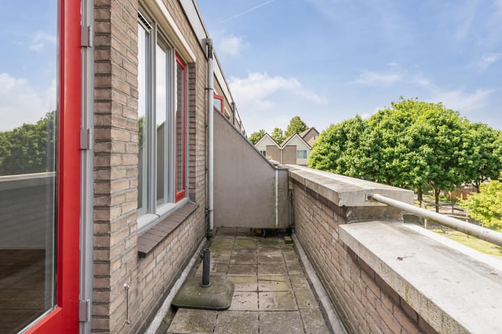 Foto 18 van Antilopespoor 412