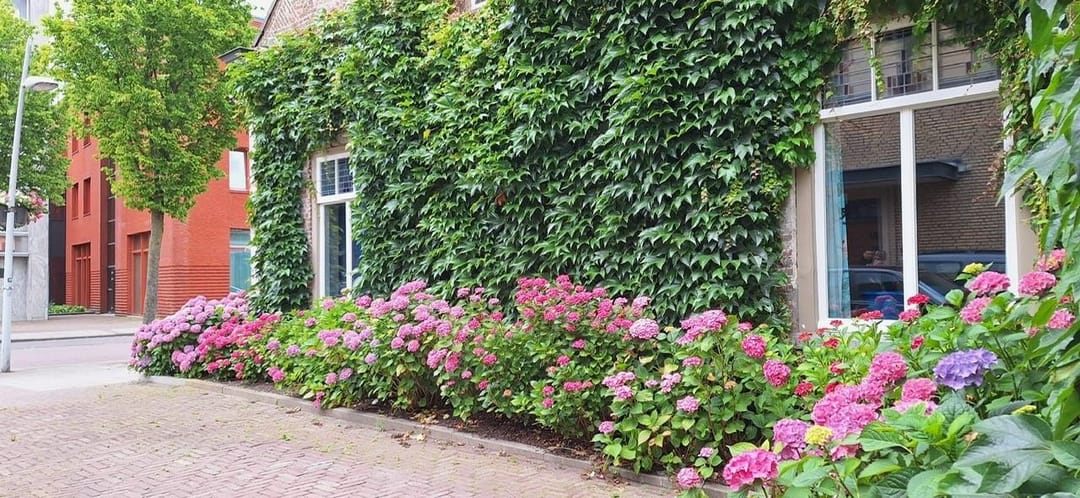 Foto 28 van Markt 29