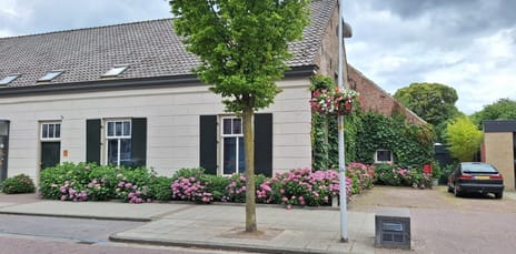 undefined main image