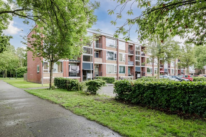 Foto 17 van Piersonstraat 58