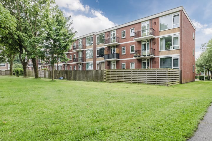 Foto 19 van Piersonstraat 58