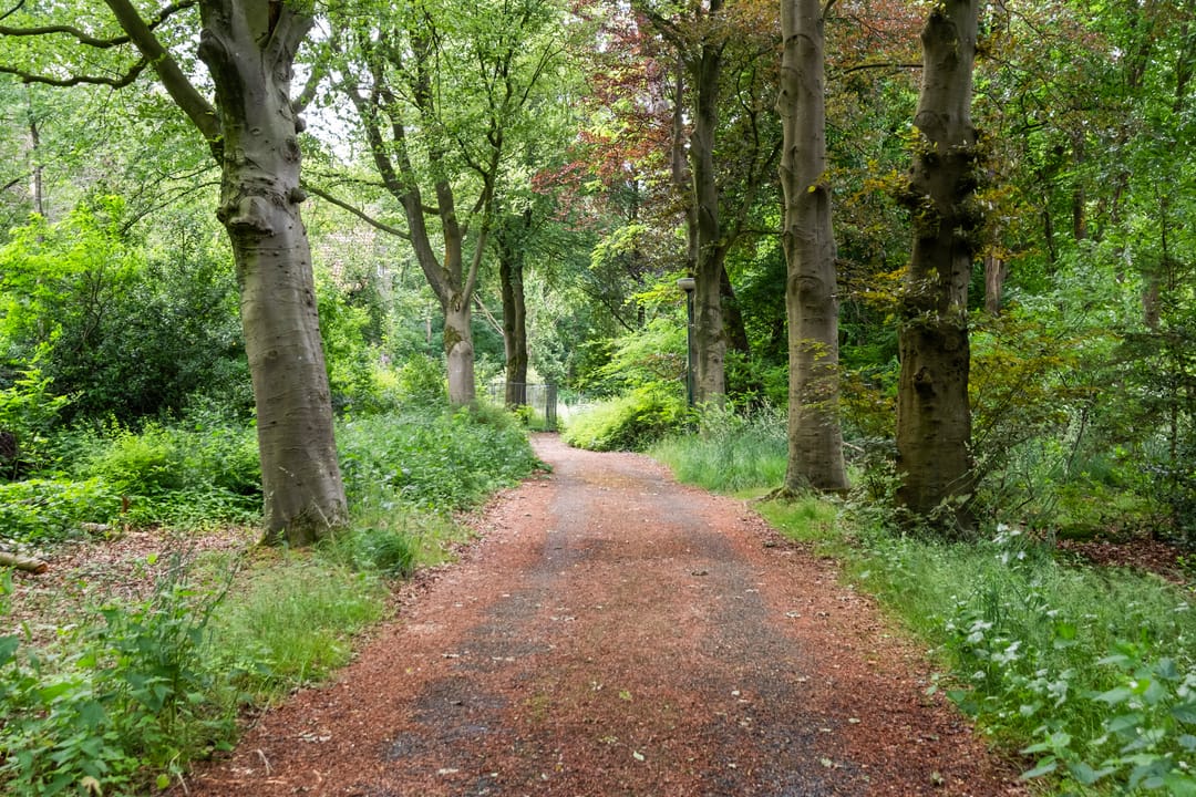 Photo 32 of Valkenheide 30