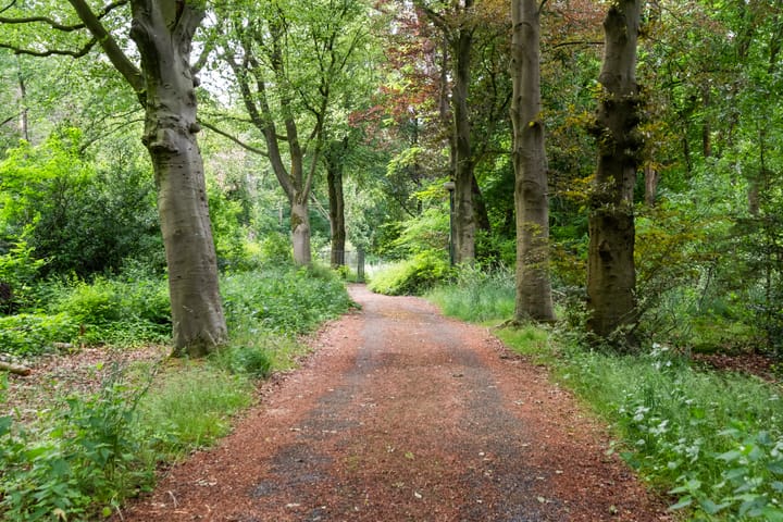 Foto 32 van Valkenheide 30