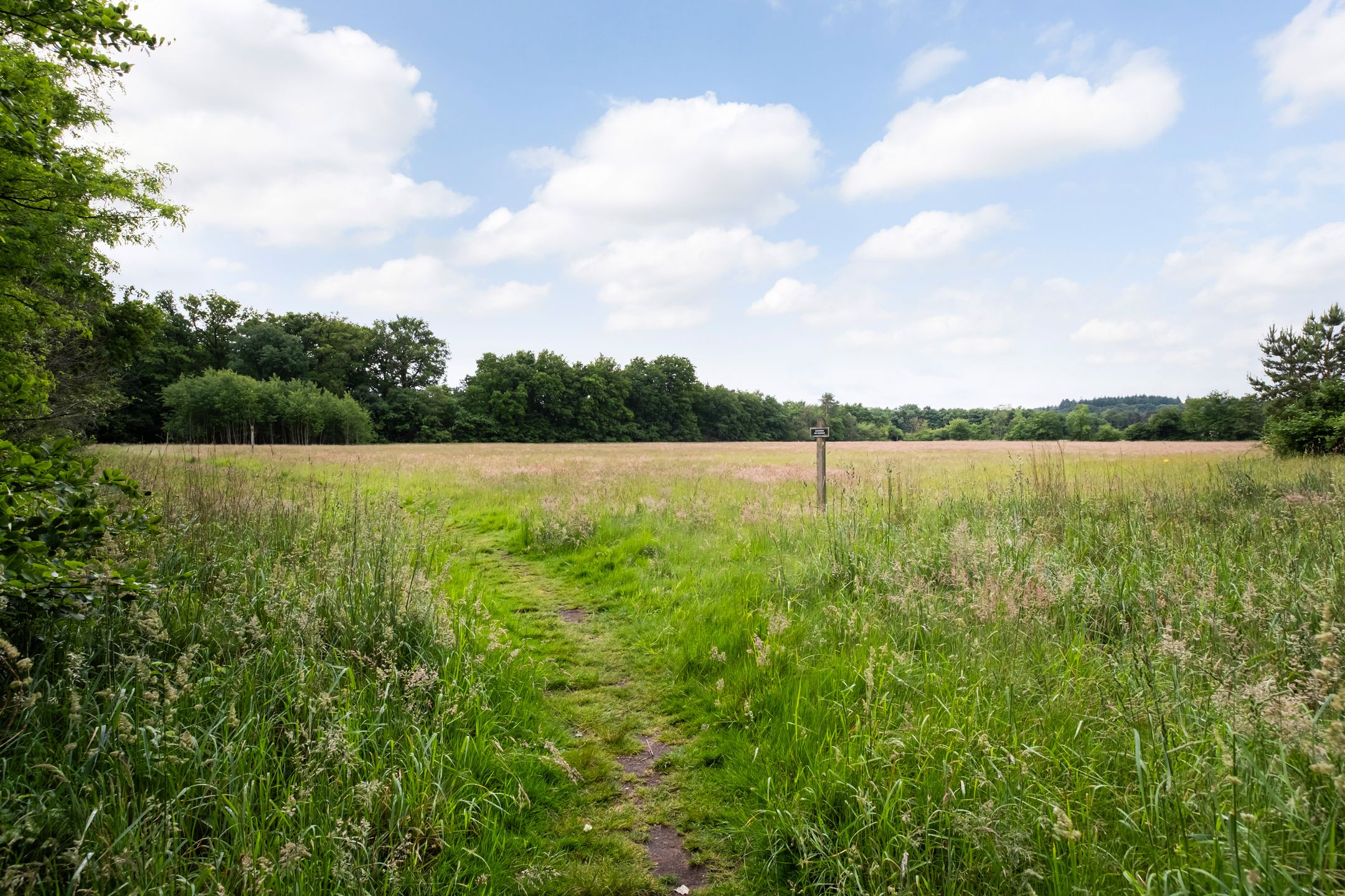 Photo 33 of Valkenheide 30