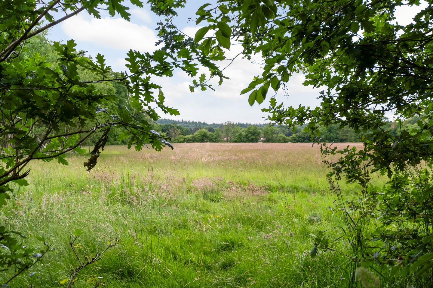 Photo 34 of Valkenheide 30