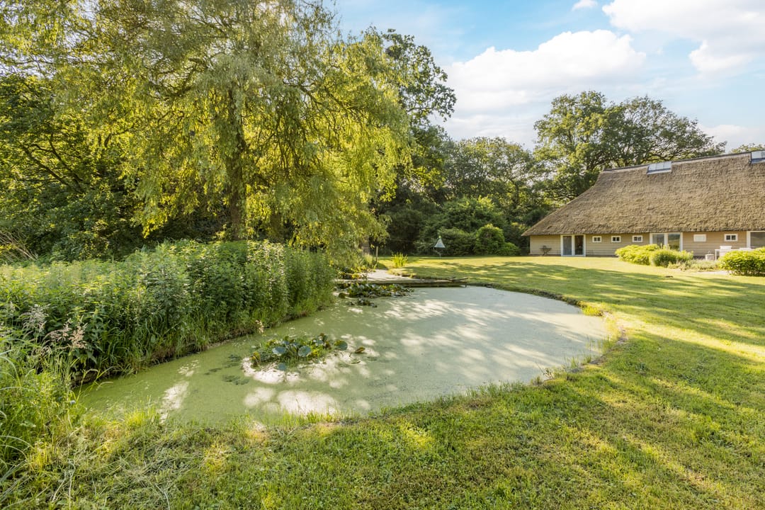 Photo 58 of Burg v Wijngaardenstraat 40