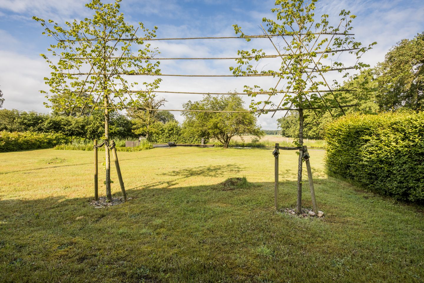 Photo 59 of Burg v Wijngaardenstraat 40