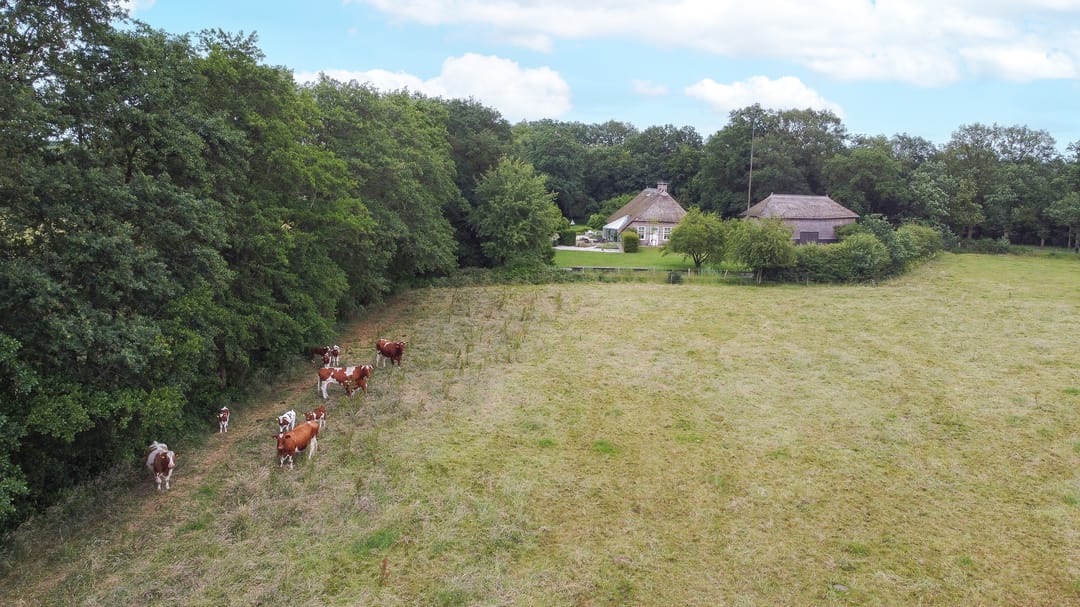 Photo 76 of Burg v Wijngaardenstraat 40