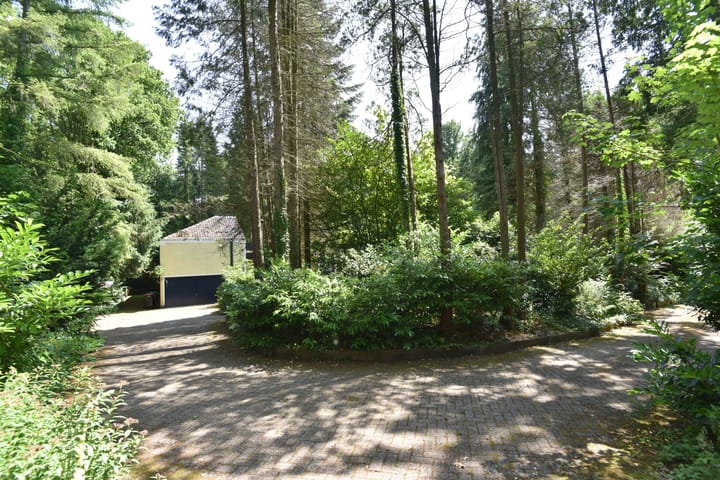 Photo 6 of Sparrenlaan 22