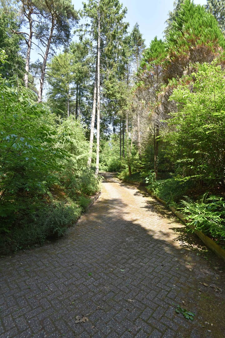 Photo 7 of Sparrenlaan 22