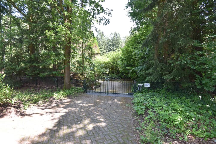 Photo 9 of Sparrenlaan 22