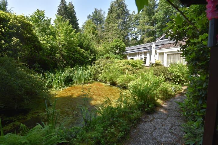 Photo 10 of Sparrenlaan 22