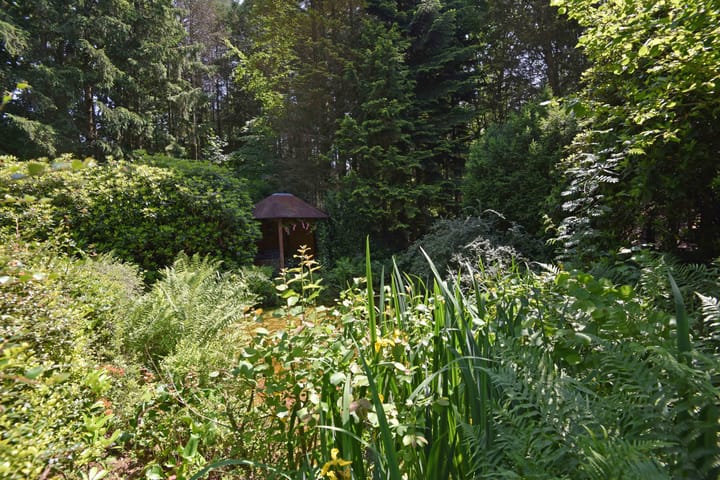 Photo 12 of Sparrenlaan 22