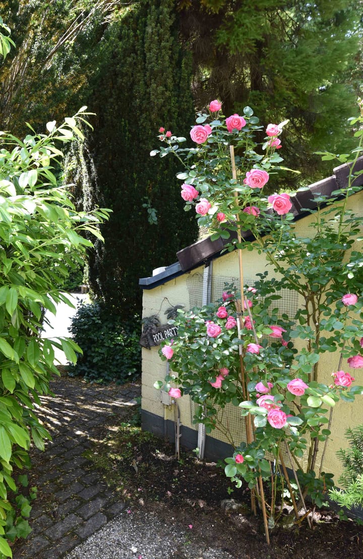 Photo 15 of Sparrenlaan 22