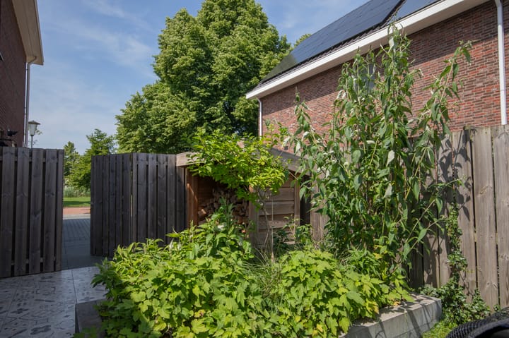 Foto 46 van Nolensstraat 7