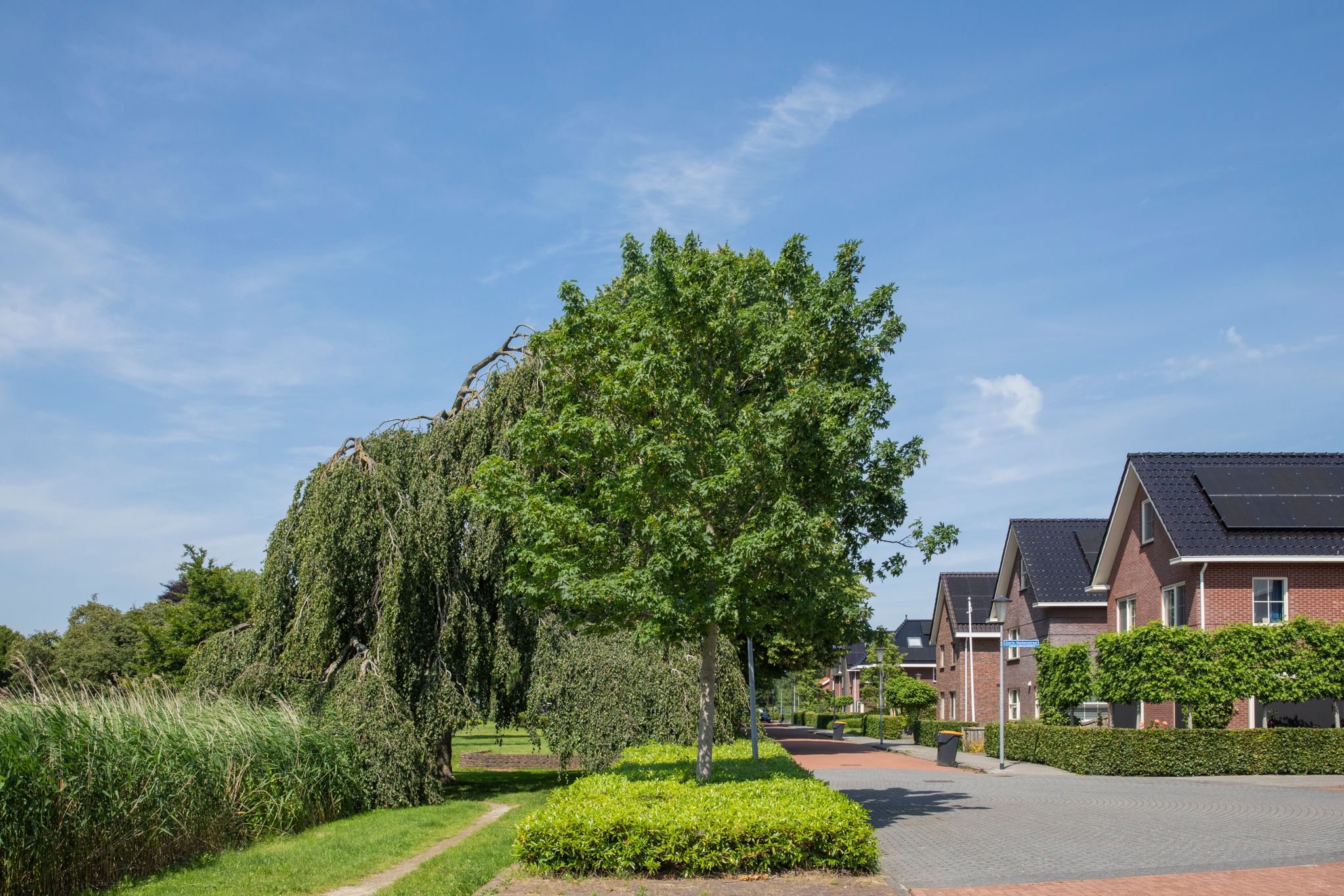 Foto 57 van Nolensstraat 7