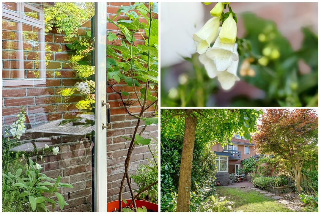 Foto 47 van Fahrenheitstraat 18