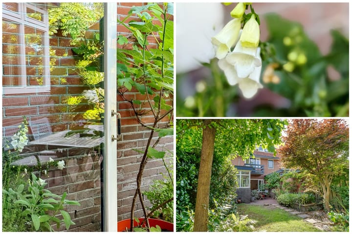 Foto 47 van Fahrenheitstraat 18