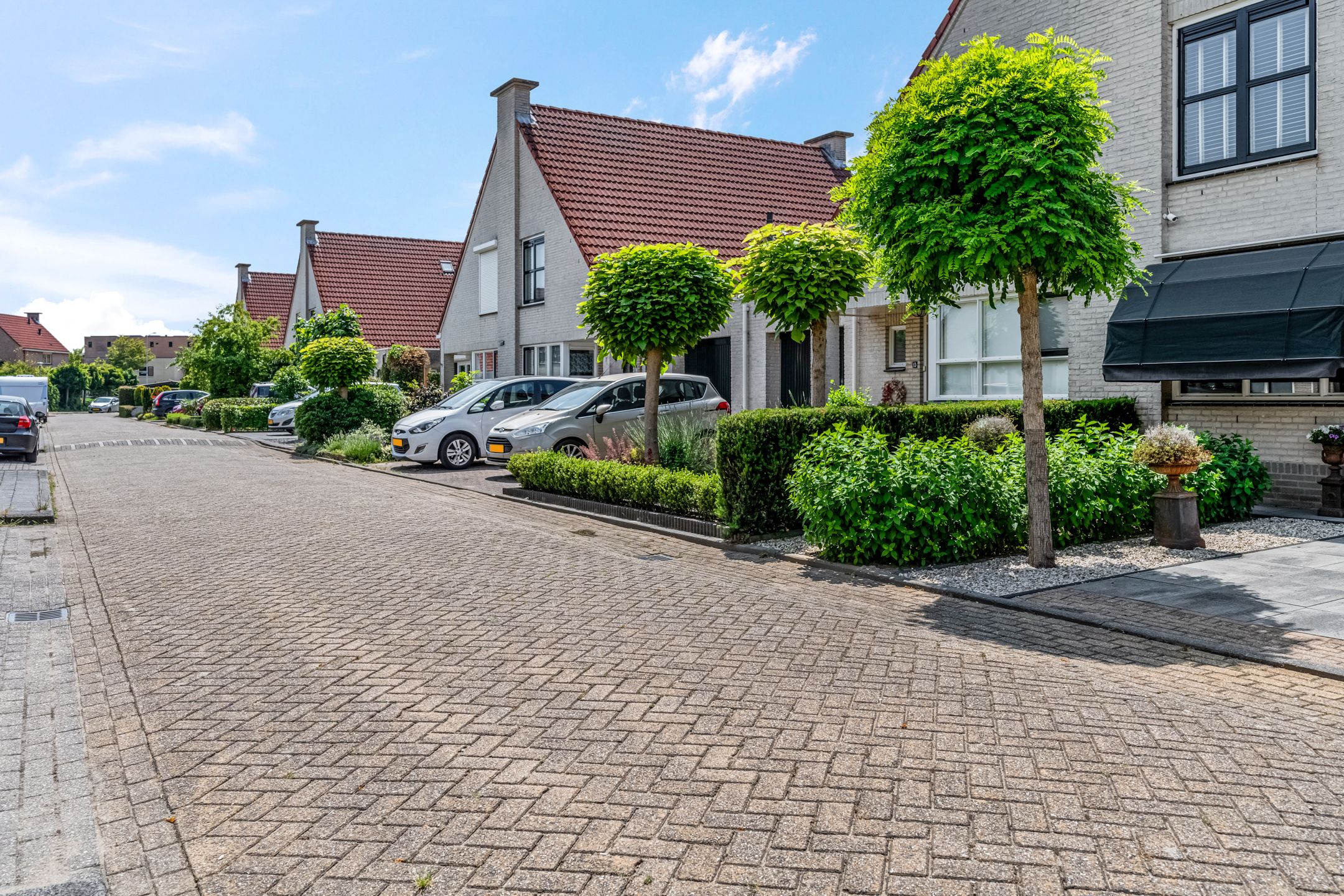 Foto 33 van Kaardebol 15