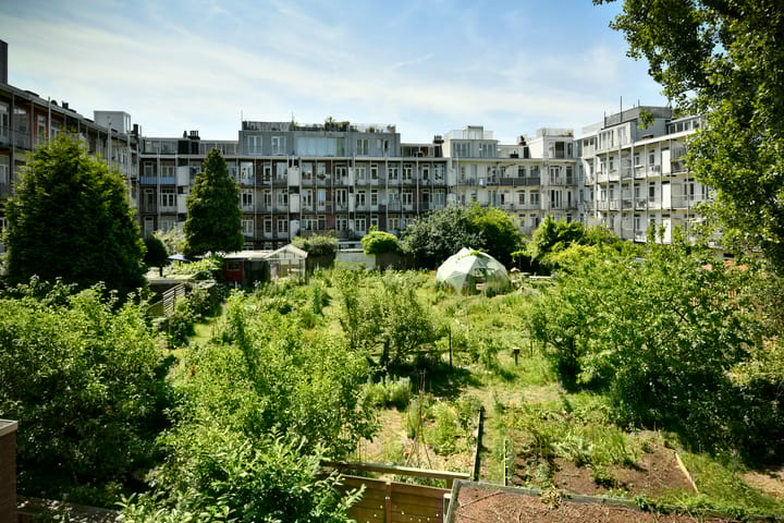 Foto 11 van Willem de Zwijgerlaan 187-1