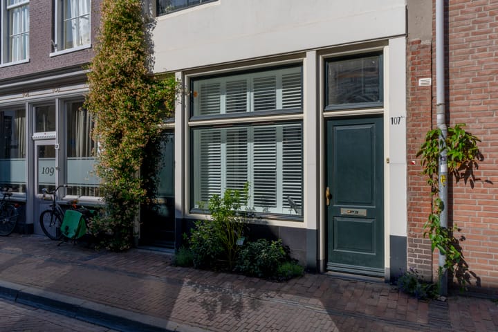 Foto 3 van Springweg 107