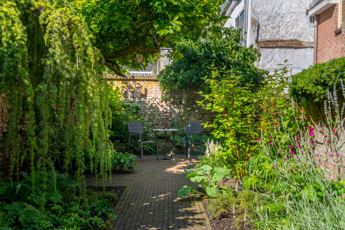 Foto 14 van Springweg 107