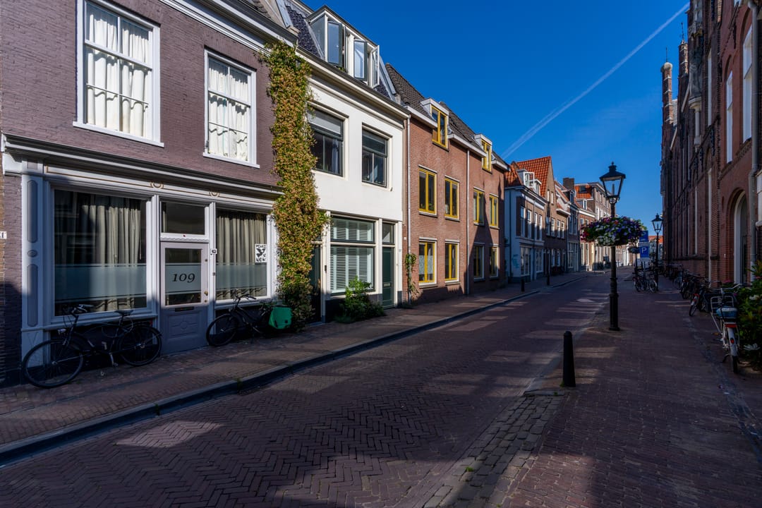 Foto 26 van Springweg 107