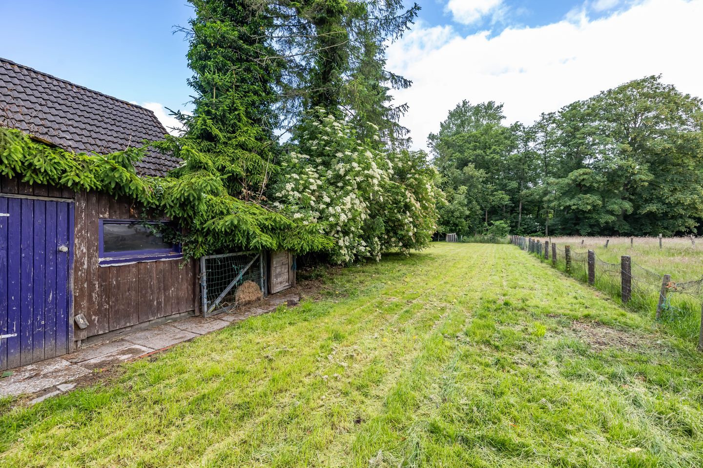 Photo 49 of Oldebertweg 35