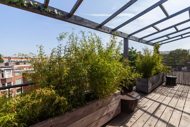 Photo 23 of De Sillestraat 46