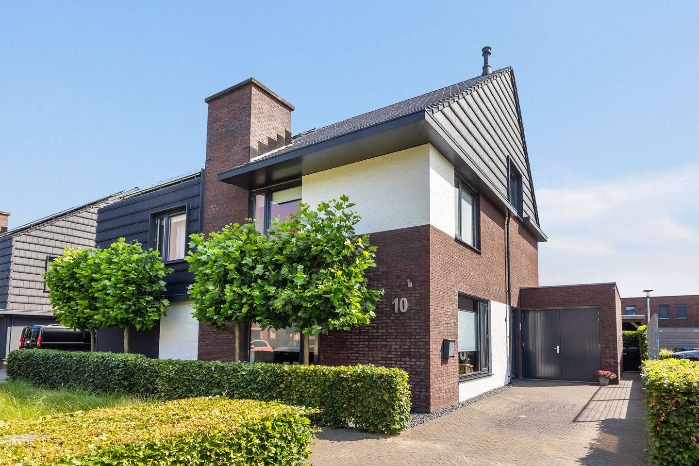 Honingzwam 10 main image