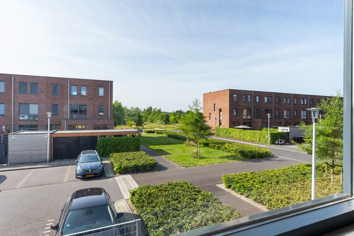 Foto 31 van Honingzwam 10