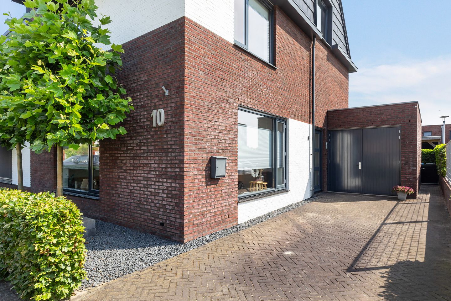 Foto 40 van Honingzwam 10