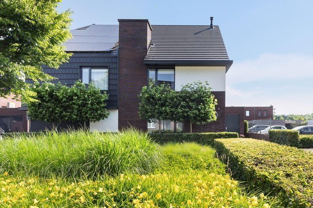 Foto 41 van Honingzwam 10