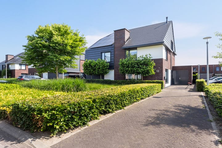 Foto 42 van Honingzwam 10