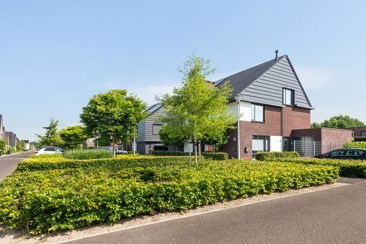 Foto 43 van Honingzwam 10