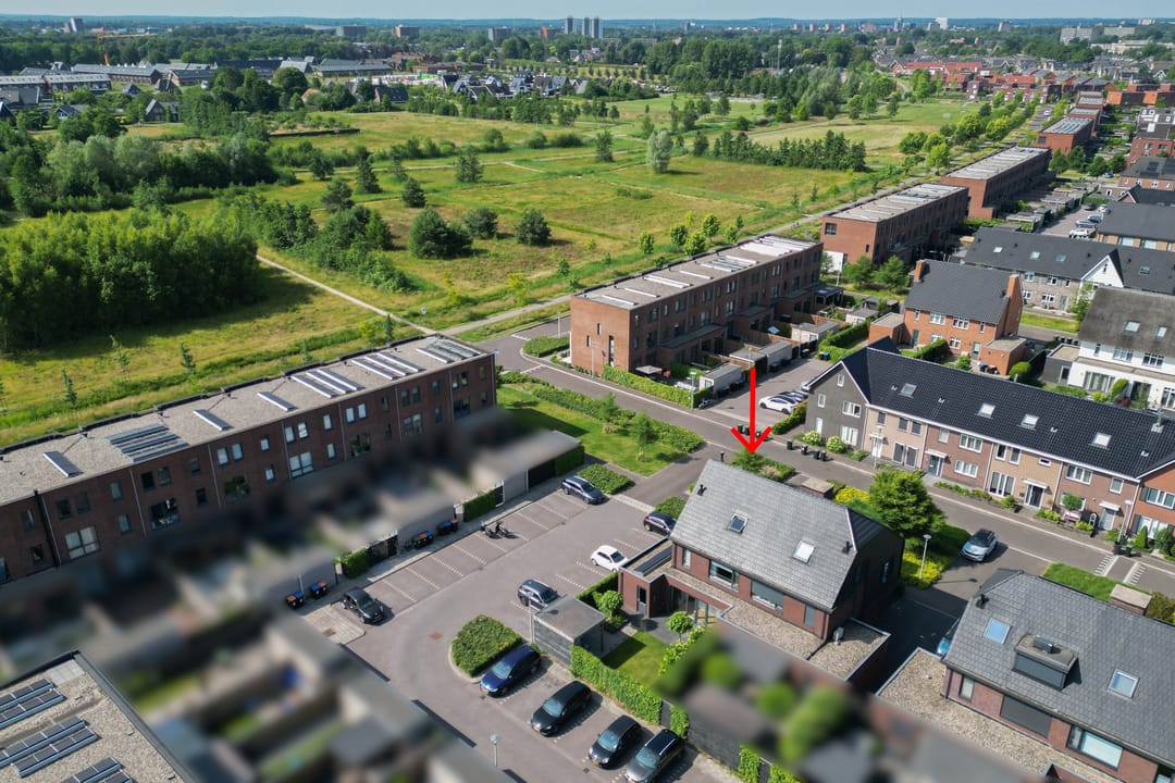 Foto 2 van Honingzwam 10