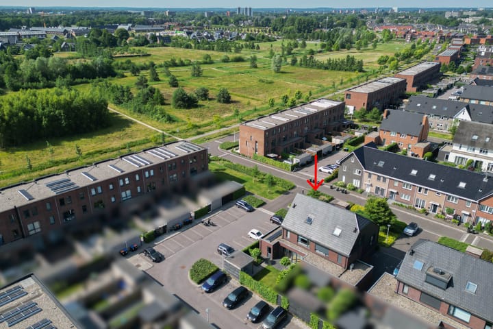 Foto 2 van Honingzwam 10