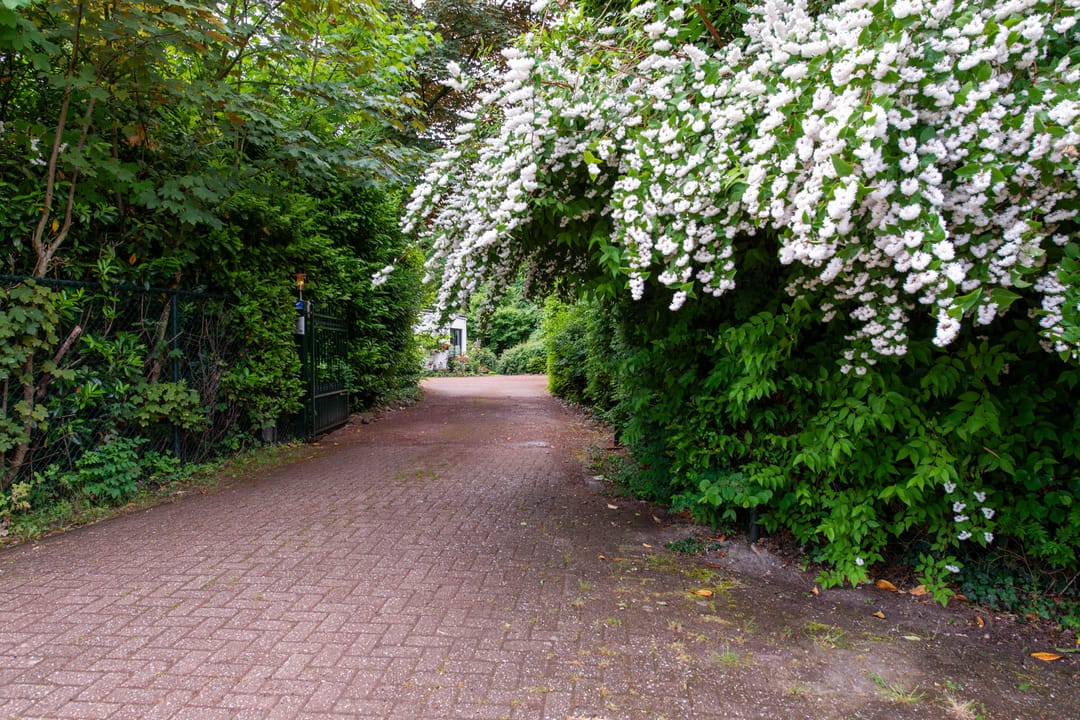 Photo 46 of Moerstraatsebaan 160