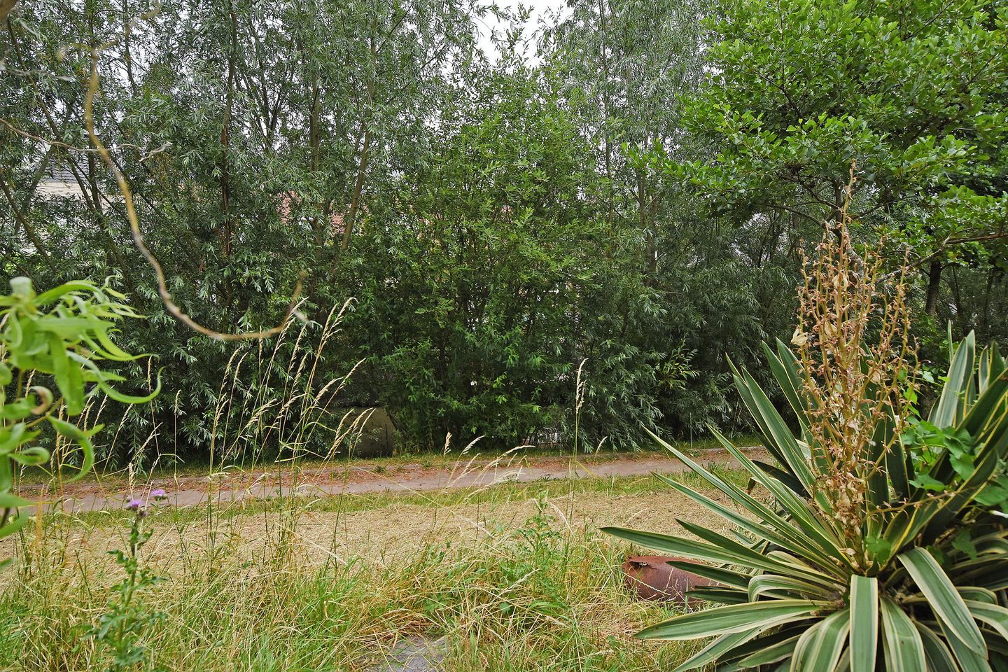 Foto 80 van Van der Maareltuinen 24