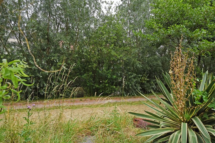 Foto 80 van Van der Maareltuinen 24