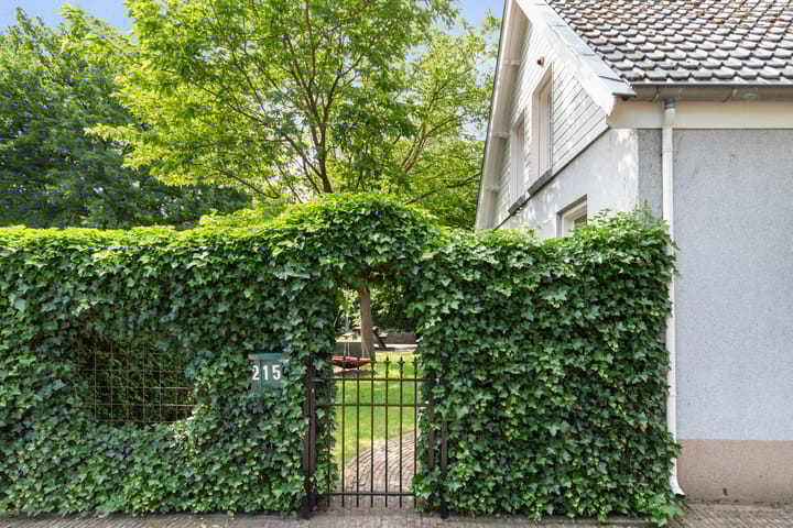 Foto 5 van Horsterweg 215