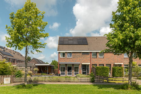 undefined main image