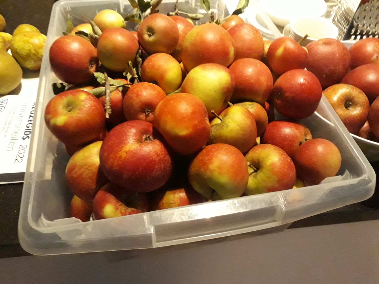 Foto 59 van Idenslaan 8-E