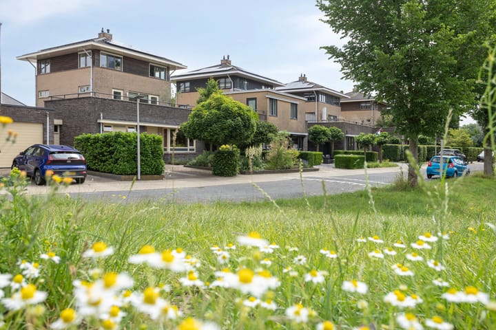 Photo 37 of Topzeil 10