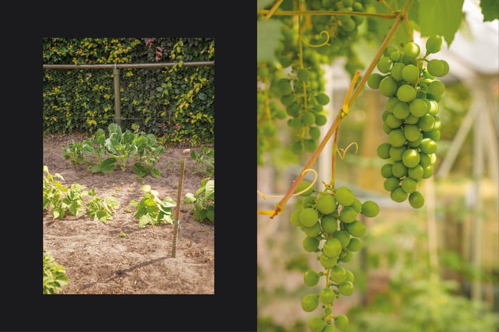 Foto 37 van Vlagheide 3