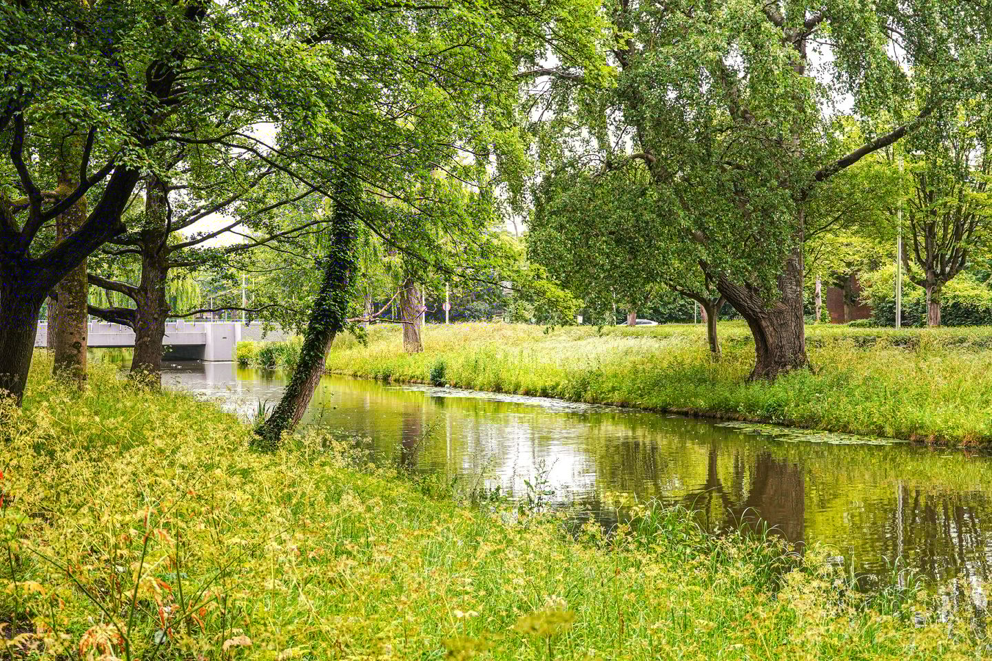 Photo 25 of Houdringe 107