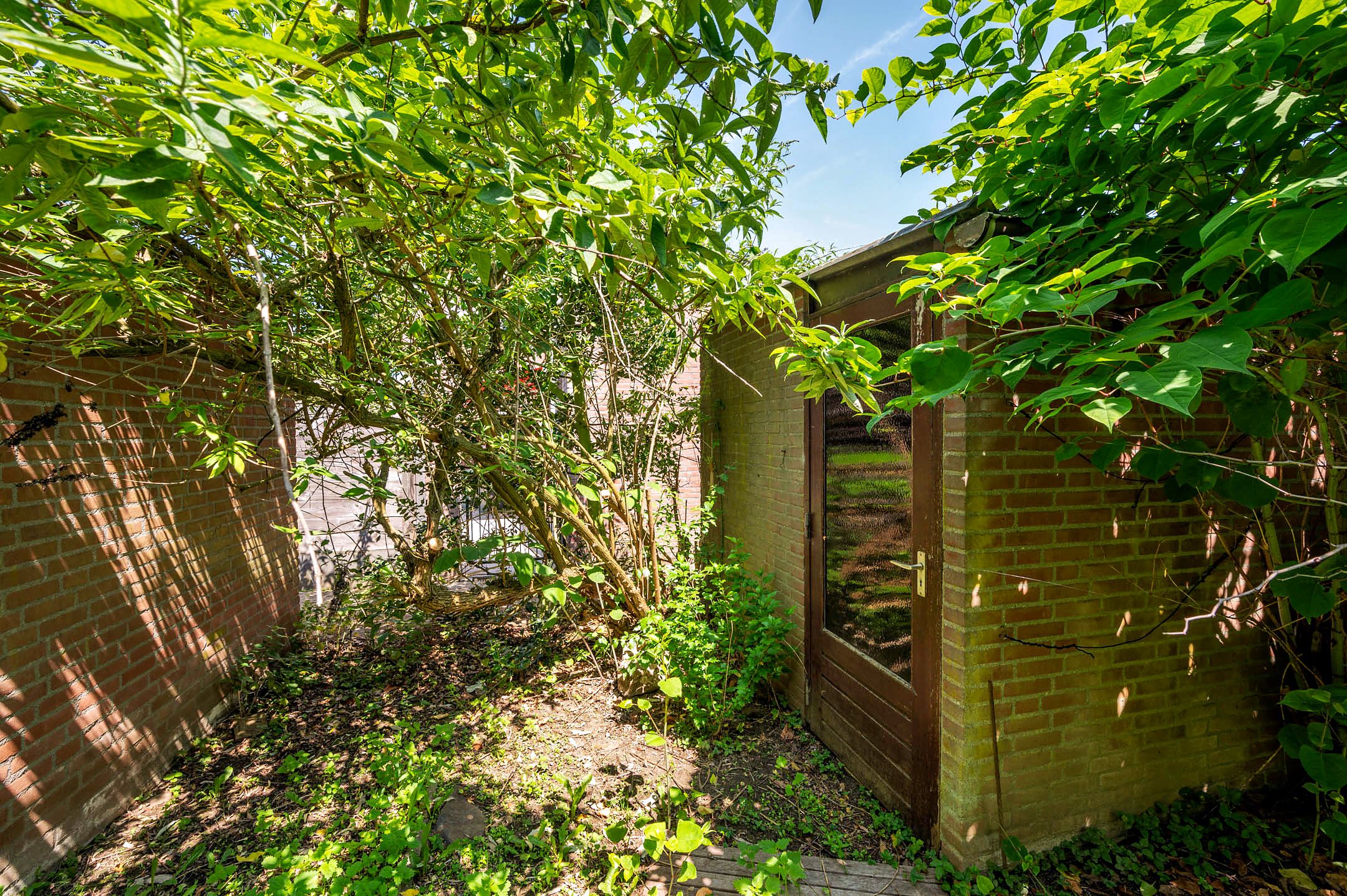 Foto 21 van Oleanderstraat 115