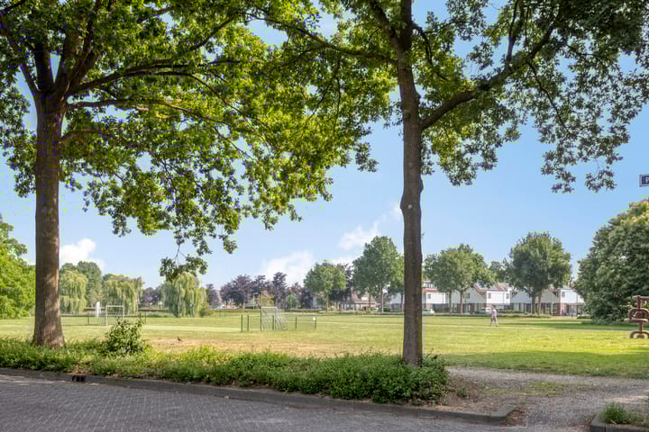 Foto 29 van Plecht 9